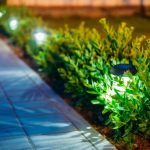 landscape lighting