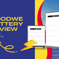 GOODWE-Battery-Performance